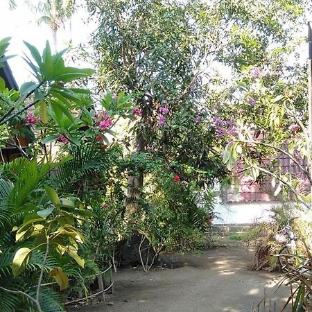 Hello Lumbung Homestay Гили Еър Екстериор снимка