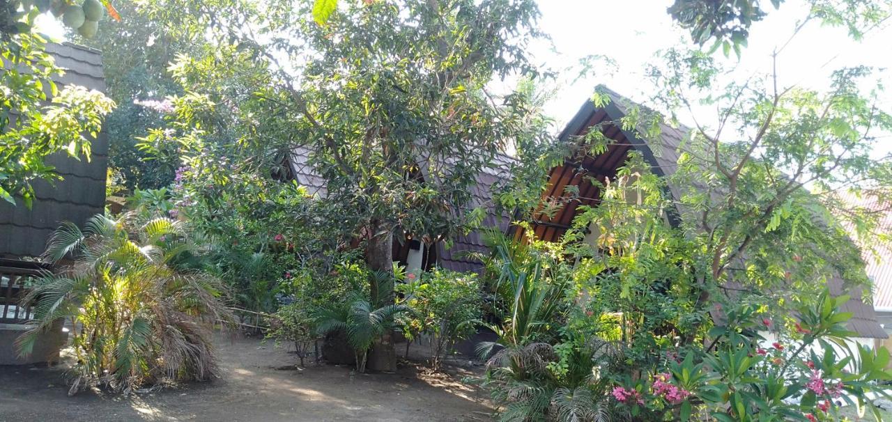 Hello Lumbung Homestay Гили Еър Екстериор снимка